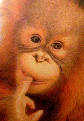 Malerei-Kunst-Galerie-Tierbilder-Orang Utan