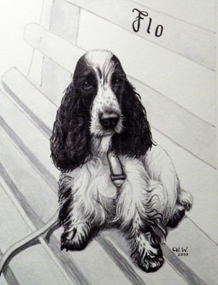 Idun-Kunstgalerie-Wien-Tierportrait-Hund-Tuschezeichnung