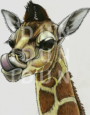 tattoo,entwurf,motiv,giraffe