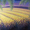 Idun-Kunstgalerie-Landschaft-Felder